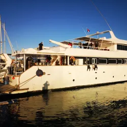 Red Sea Diving and Snorkeling Tours - Ras Gharib (Ras Ghareb)