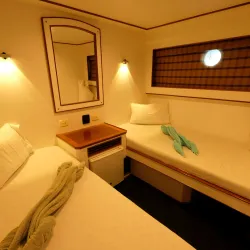 Red Sea Diving and Snorkeling Tours - Ras Gharib (Ras Ghareb)