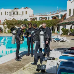 Red Sea Marine Life Observation - Ras Gharib (Ras Ghareb)