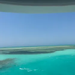 Red Sea Marine Life Observation - Ras Gharib (Ras Ghareb)