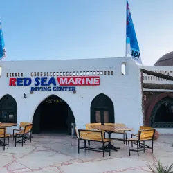 Red Sea Marine Life Observation - Ras Gharib (Ras Ghareb)