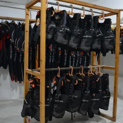 Red Sea Marine Life Observation - Ras Gharib (Ras Ghareb)