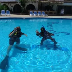 Red Sea Marine Life Observation - Ras Gharib (Ras Ghareb)