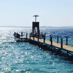 Red Sea Marine Life Observation - Ras Gharib (Ras Ghareb)