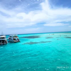 Ras Mohammed National Park - Sharm El Sheikh