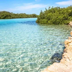 Ras Mohammed National Park - Sharm El Sheikh