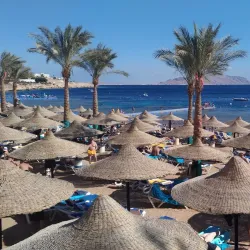 Shark's Bay - Sharm El Sheikh