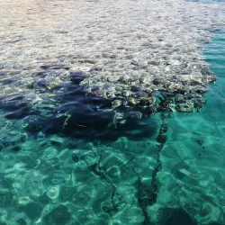 Shark's Bay - Sharm El Sheikh