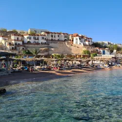 Shark's Bay - Sharm El Sheikh