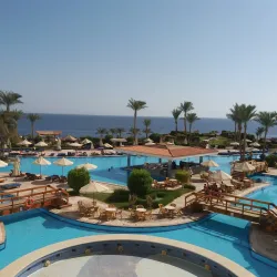 Shark's Bay - Sharm El Sheikh