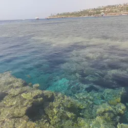 Shark's Bay - Sharm El Sheikh