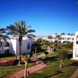 Tiran Island - Sharm El Sheikh