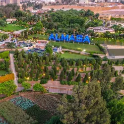 Al Masa Hotel and Resort - Sheikh Zayed