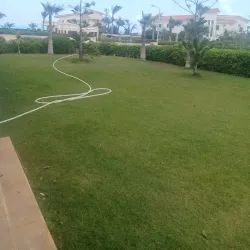 Al Rehab City - Sheikh Zayed