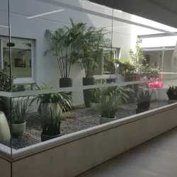 Sheikh Zayed Medical City - Sheikh Zayed