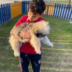 Sheikh Zayed Park - Sheikh Zayed