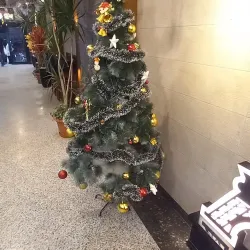 Shibin Al Kawm Market - Shibin Al Kawm