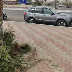 Suez Public Park - Suez