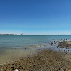 Suez Public Park - Suez