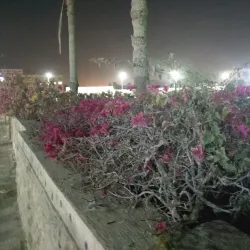 Suez War Memorial - Suez