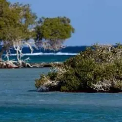 Aqaba (Jordan) - Taba