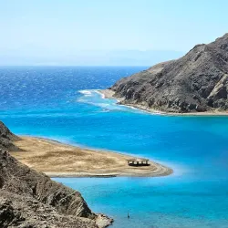 Coral Reefs of Taba - Taba
