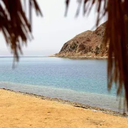 Coral Reefs of Taba - Taba
