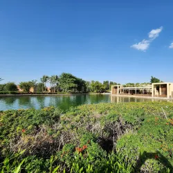 Al-Azhar Park Tanta - Tanta