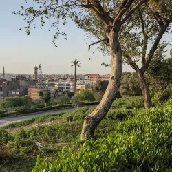 Al-Azhar Park Tanta - Tanta