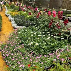 Nile Delta Agricultural Museum - Tanta