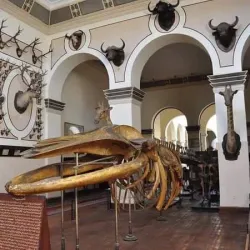 Nile Delta Agricultural Museum - Tanta