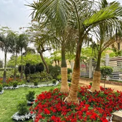 Nile Delta Agricultural Museum - Tanta