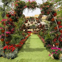 Nile Delta Agricultural Museum - Tanta