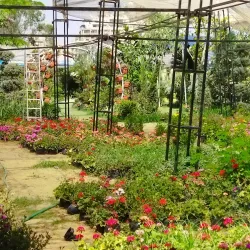 Nile Delta Agricultural Museum - Tanta