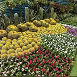 Nile Delta Agricultural Museum - Tanta