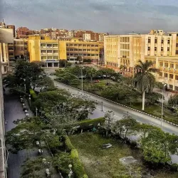 Zagazig University - Zagazig