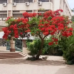 Zagazig University - Zagazig