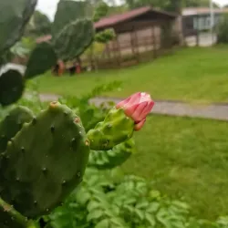 Fiestas Patronales de Aguilares - Aguilares