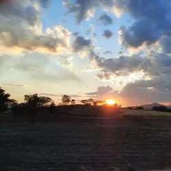 Fiestas Patronales de Aguilares - Aguilares