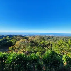 Reserva Natural El Imposible - Aguilares