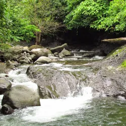 Reserva Natural El Imposible - Aguilares