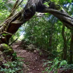 Reserva Natural El Imposible - Aguilares