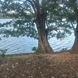 Ruta de las Flores - Aguilares