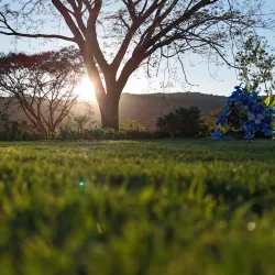 Iglesia El Calvario - Anamoros