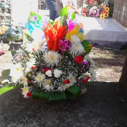 Parque Infantil - Anamoros