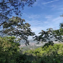 Parque Natural El Espino - Anamoros