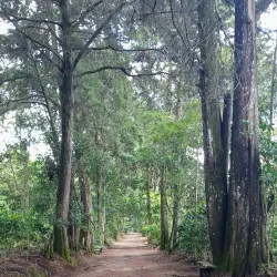 Parque Natural El Espino - Anamoros