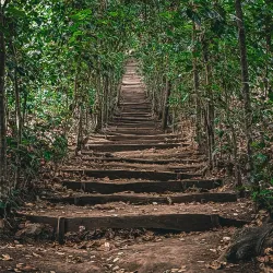 Parque Natural El Espino - Anamoros