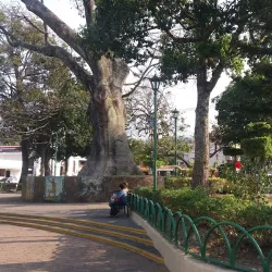Parque Cuscatlán - Antiguo Cuscatlan
