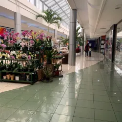 Plaza Merliot - Antiguo Cuscatlan